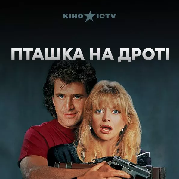 Птичка на проводе